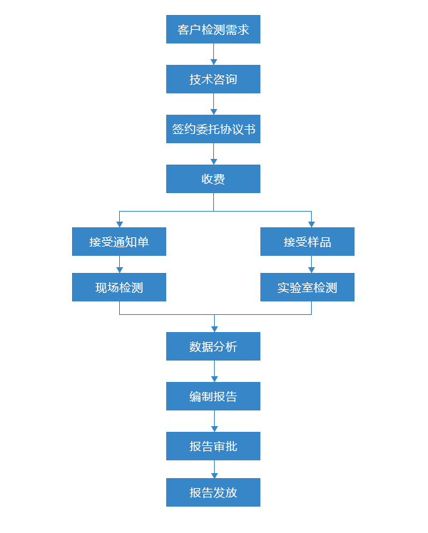 防雷檢測(cè)服務(wù)流程.jpg